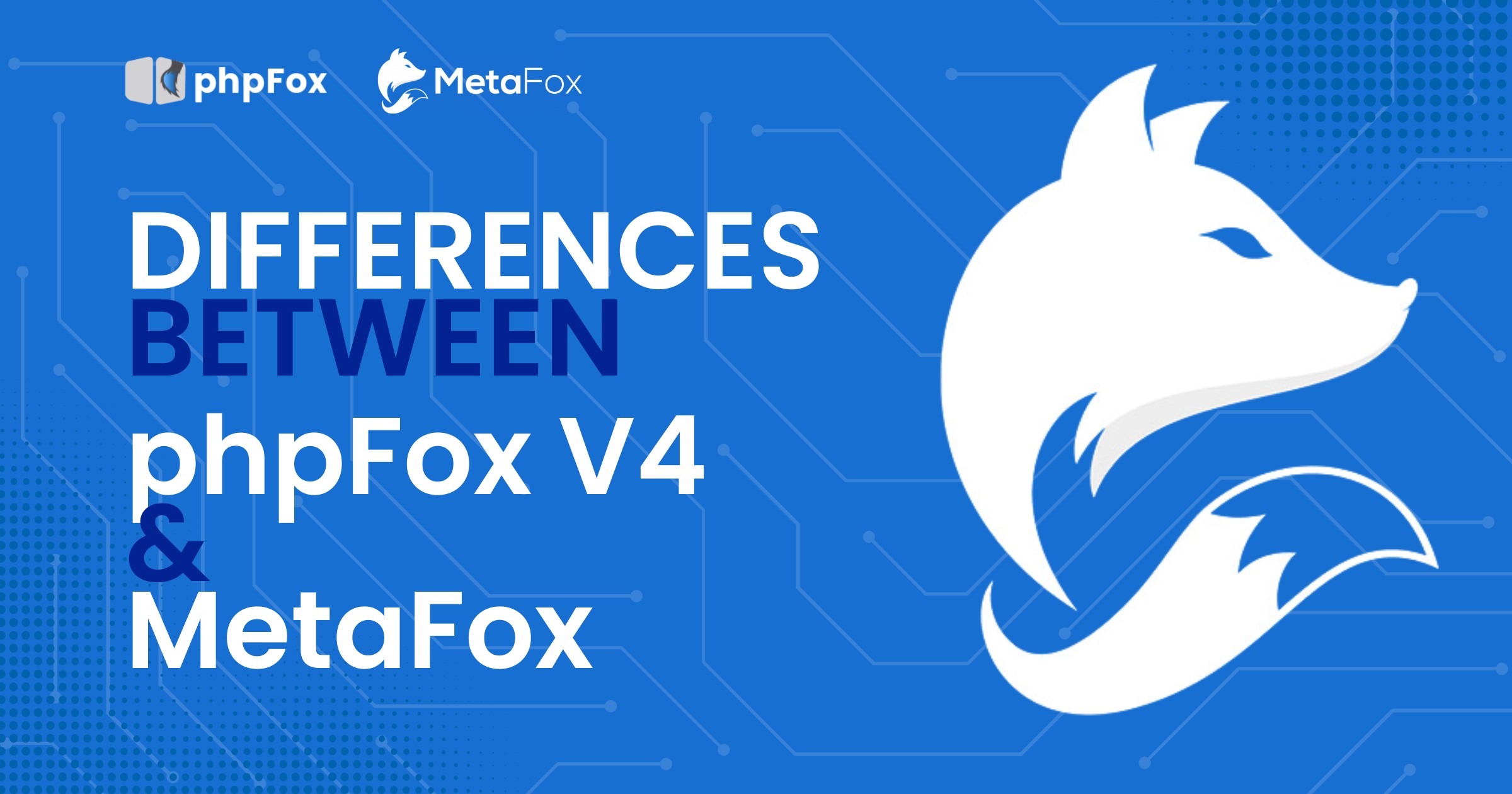Explore the differences between phpFox V4 and V5 phpFox version 5 (Metafox)